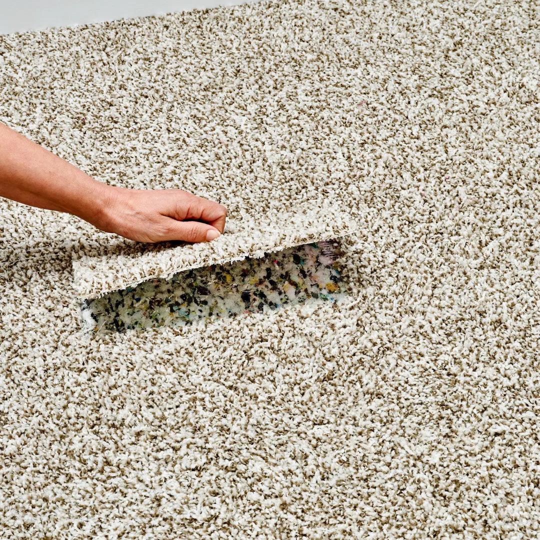 Expert Carpet Restoration Solutions in Los Angeles, CA